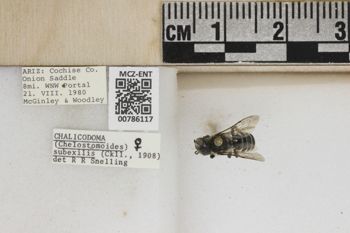 Media type: image;   Entomology 786117 Aspect: Labels